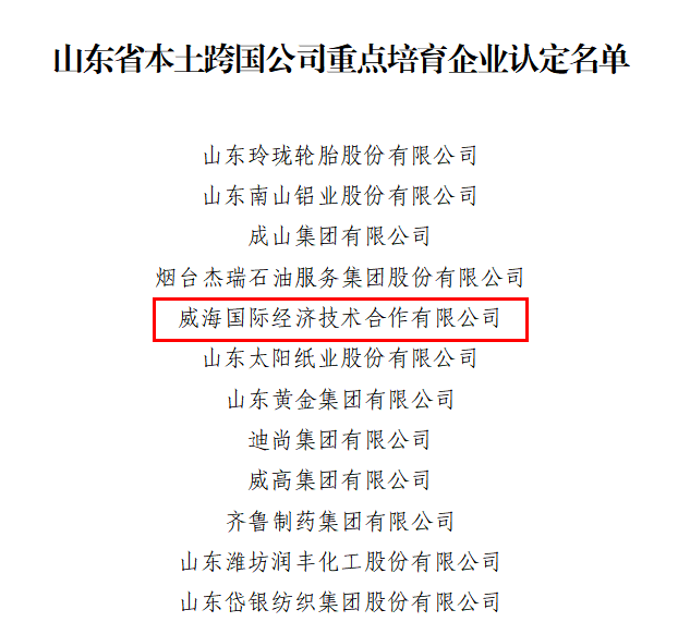 簡訊│公司入選山東省本土跨國公司重點培育企業(yè)名單
