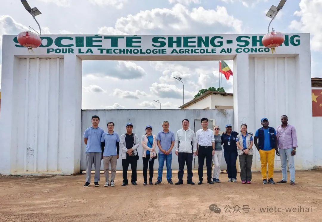 深耕非洲沃土，結出共贏碩果——威海國際剛果（布）木薯產業園譜寫中非合作新篇章